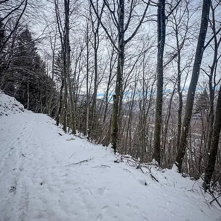 Casa Al Castagneto *